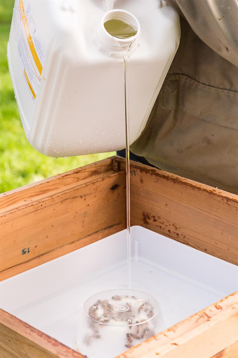 Voerbak 6 L;Voerbak 6 L