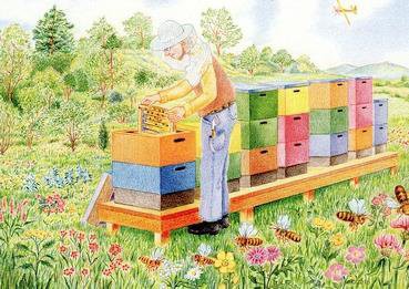 Ansichtkaart Lente bijenstal