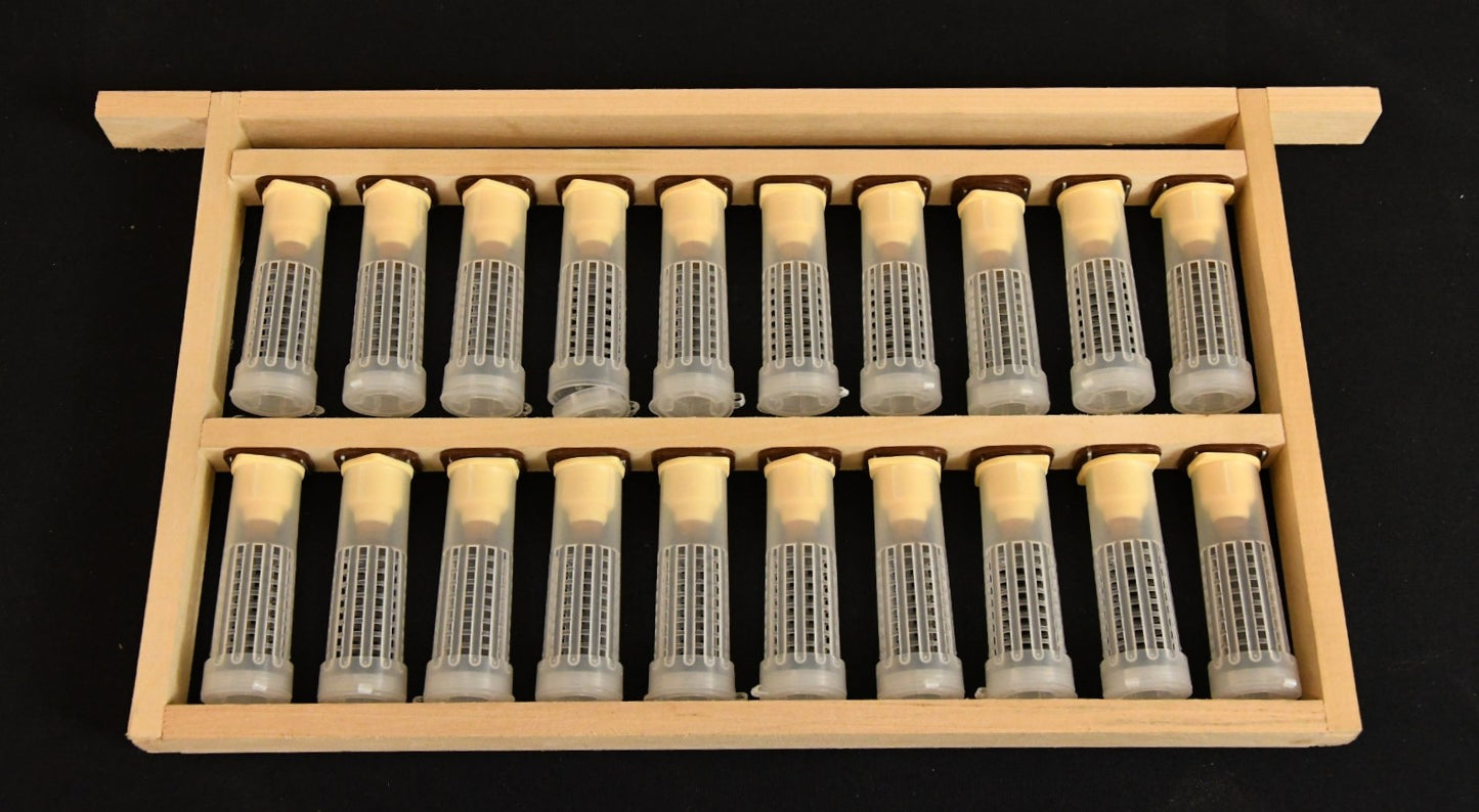 Koninginnenteelt raampje spaarkast met nicot systeem;Koninginnenteelt raampje spaarkast met nicot systeem;Koninginnenteelt raampje spaarkast met nicot systeem