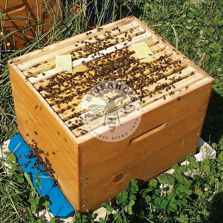 Thymovar;Thymovar;Thymovar;Thymovar