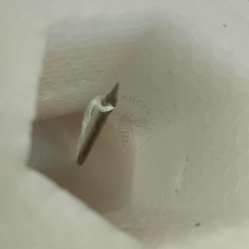 Kaarsenpriem;Kaarsenpriem;Kaarsenpriem;Kaarsenpriem