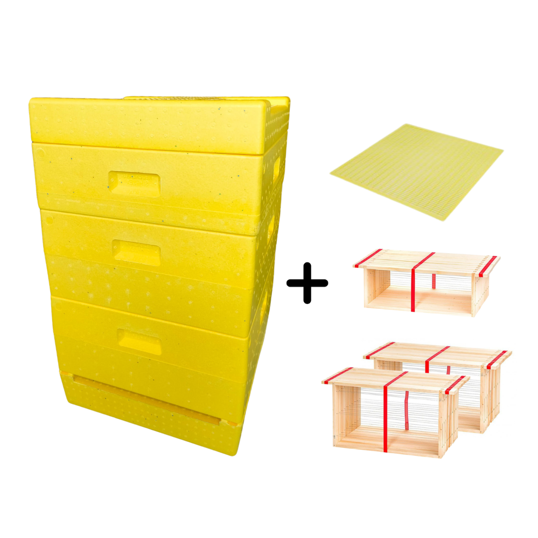 *Segeberger Spaarkast Duurzame Bij - Diverse Kleuren