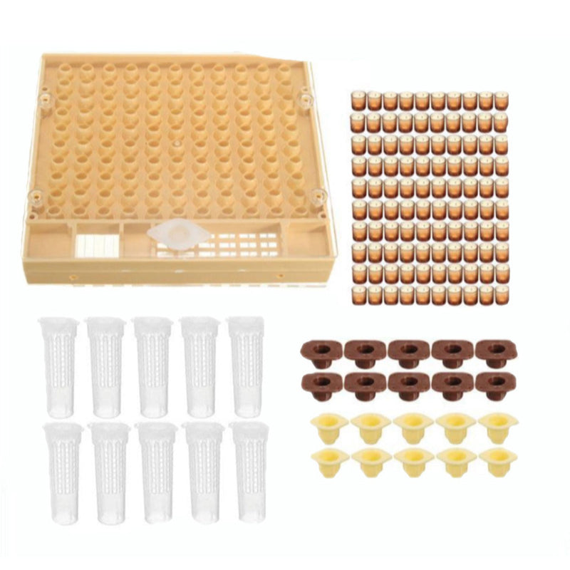 Complete koninginnenteeltset