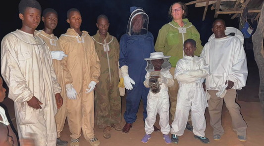 Bijenproject Guinee-Bissau: Een Bijenmissie met Impact