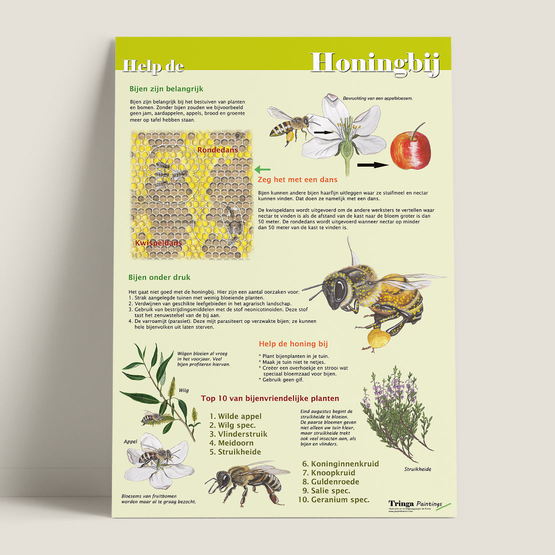 Edukaart - Help de Honingbij